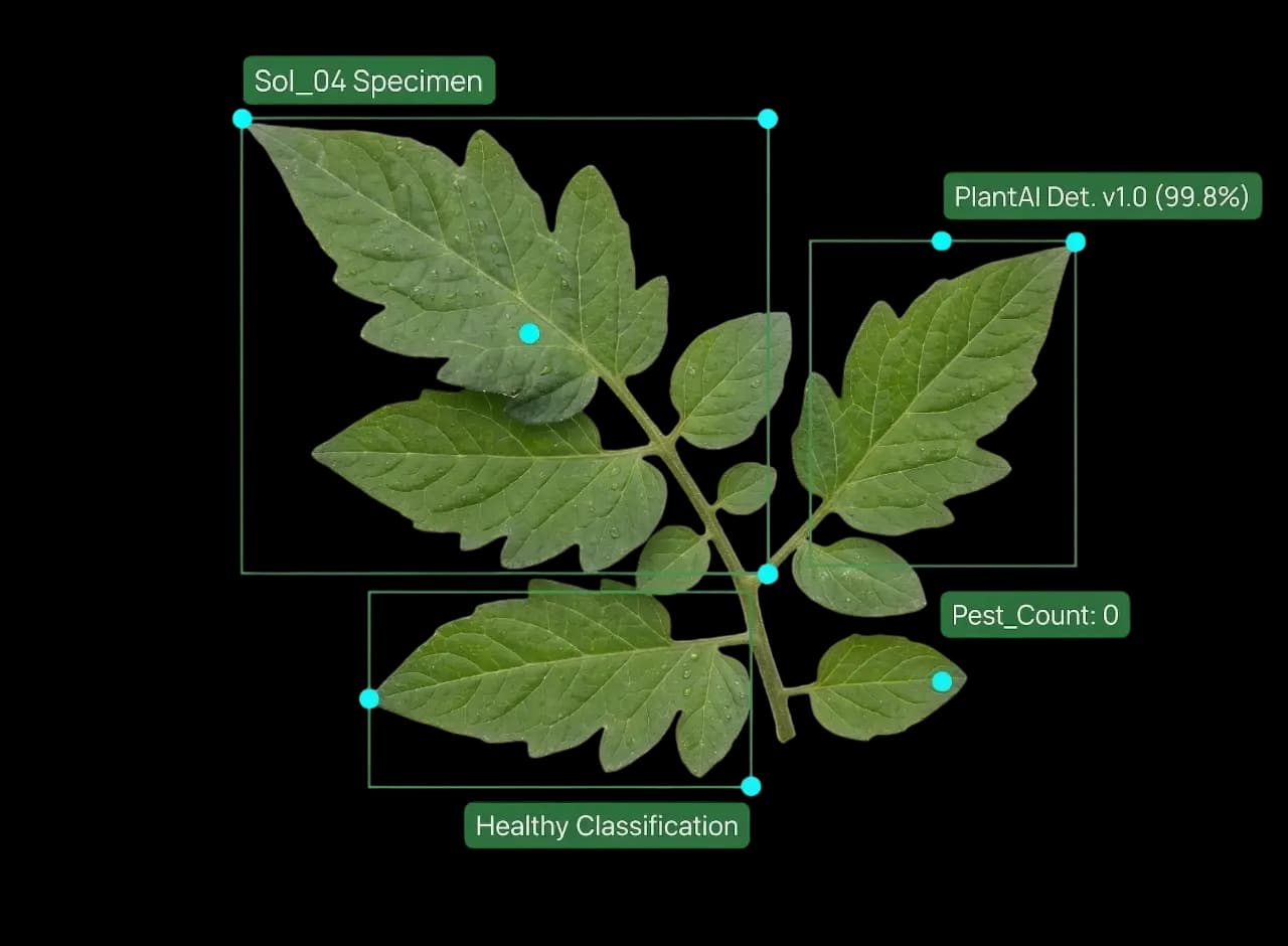 ARCriculture visual context